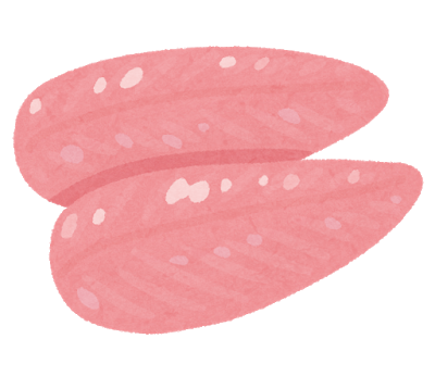 鶏胸肉の美味しい食い方教えてや: みじかめっ！なんJ