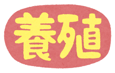 養殖より天然の方が美味い！！！←これホンマか？ 	: みじかめっ！なんJ