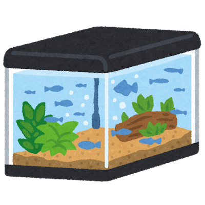 ワイ！急に鑑賞魚が飼いたくなる！！オススメあるか！！！！！: みじかめっ！なんJ