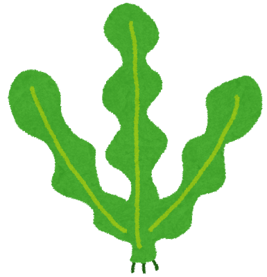 【急募】わかめラーメンのちょい足しレシピ 	: みじかめっ！なんJ