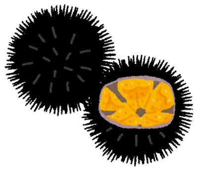 連想ゲームで「ウニ」を一発で連想させる単語、この世に存在しない説: みじかめっ！なんJ