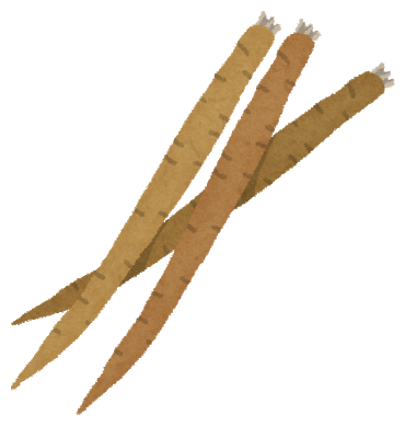 ごぼうをふんだんに使った料理、きんぴらごぼうと鶏ごぼう以外に存在しない: みじかめっ！なんJ