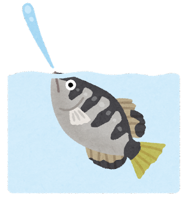 【伝説】ポケモンの御三家の中で『みずタイプ』を選ぶ奴は人生成功しないという風潮: みじかめっ！なんJ