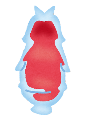 【朗報】ガチで新種の虫を見つけたんだが！！: みじかめっ！なんJ