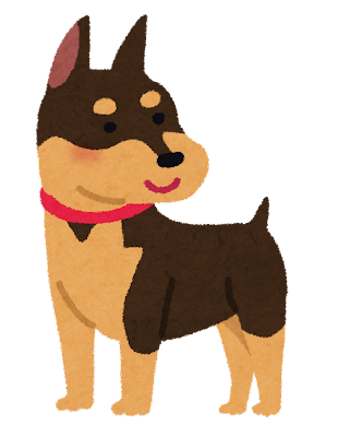 【最強】「ミニチュアピンシャー」とかいう攻守共に優れた犬種: みじかめっ！なんJ