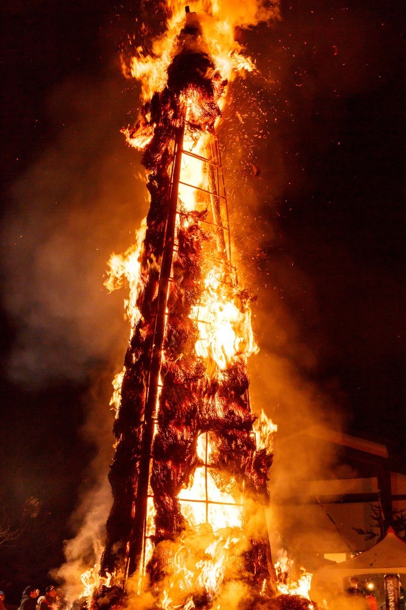 オーストラリアの森林燃やしちゃった奴らが罪深すぎてワロエナイ: みじかめっ！なんJ