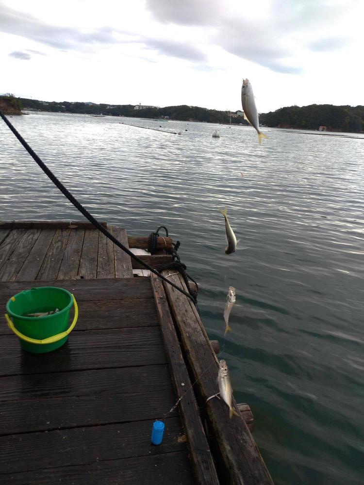 ワイ、釣り開始から2時間でアジが30匹釣れる: みじかめっ！なんJ