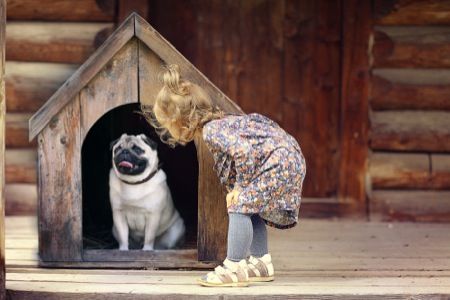 犬猫に話しかけてる飼い主wwwwwwwww みじかめっ なんj