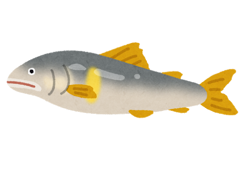 海の魚は刺し身で食えるのに 川魚は生ngな理由がわからん みじかめっ なんj 海の魚は刺し身で食えるのに 川魚は生ngな理由がわからん みじかめっ なんj