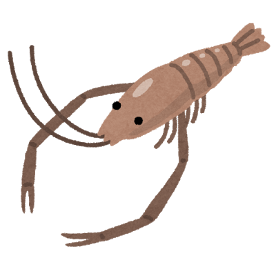 ワイ、贔屓負けでムカついた気持ちをウナギとテナガエビ釣りでリフレッシュ: みじかめっ！なんJ