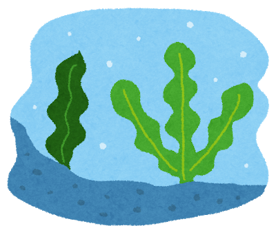 昆布が海の中でダシが出ない理由 	: みじかめっ！なんJ