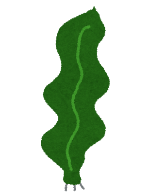 昆布が海の中で出汁が出ないのなんでや？: みじかめっ！なんJ