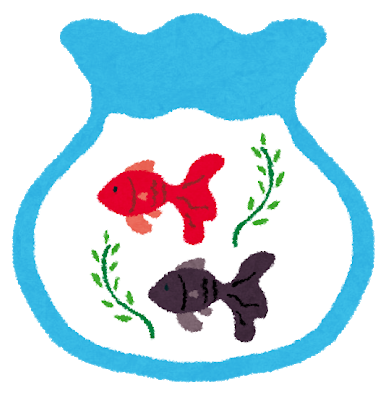 ワイ「金魚飼い始めたで！」謎の貝「お邪魔しとるで」←こいつ: みじかめっ！なんJ