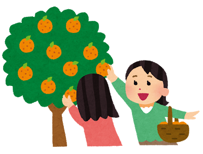 【悲報】ぼくみかん農家、豪雨で咽び泣く………ゥゥゥゥゥゥゥ（涙: みじかめっ！なんJ