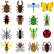 ワイ「生きろ。そなたは美しい──」 アシダカグモ ｢ありがとンゴ｣ｽﾀｽﾀｽﾀｽﾀ 	: みじかめっ！なんJ